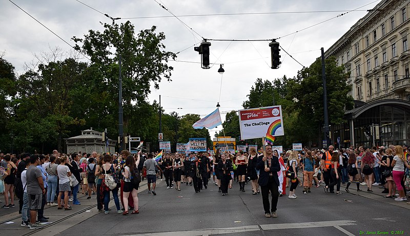 File:Regenbogenparade 2018 Wien (348) (27969114287).jpg