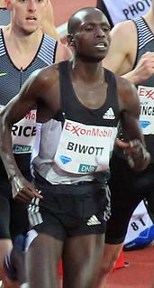 <span class="mw-page-title-main">Robert Biwott</span> Kenyan middle-distance runner