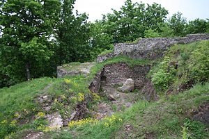 Rogowiec Castle 01.jpg