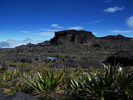 Tập_tin:Roraima_Maverick_Stone3.jpg