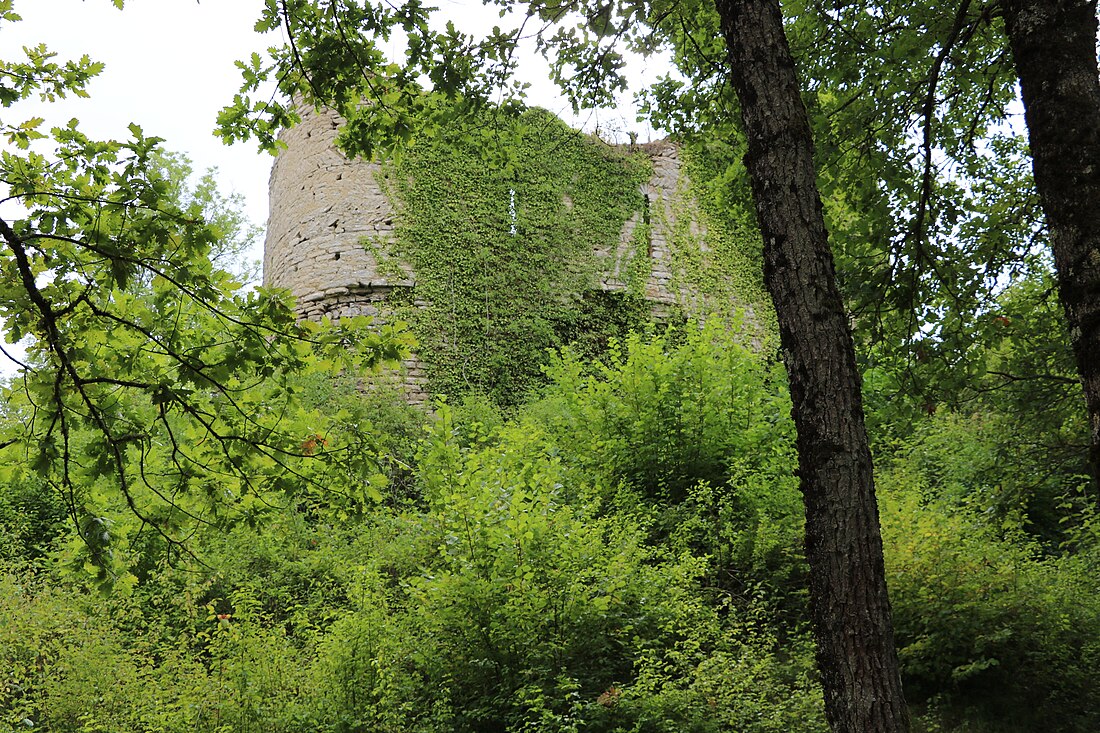 Château de Rougemont (Côte-d'Or)