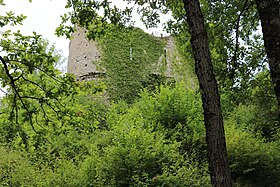 Image illustrative de l’article Château de Rougemont (Côte-d'Or)