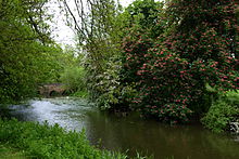 The river Cherwell Rousham04.jpg