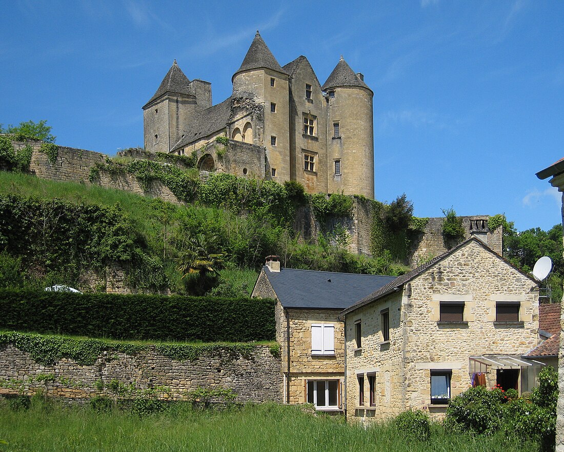 Burg Salignac