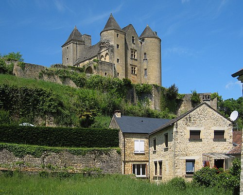 Photo - Château de Salignac