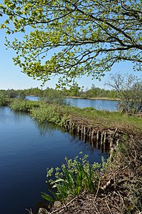 Schleswig-Holstein, Heide, Ostroher-Süderholmer Moor NIK 0163.JPG