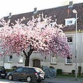 Residential building