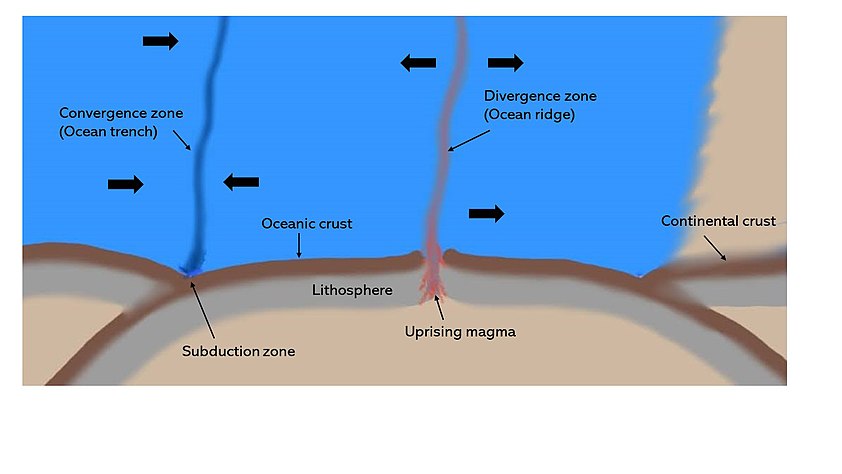 Movements of tectonic plates and the formation of oceanic ridges and trenches.