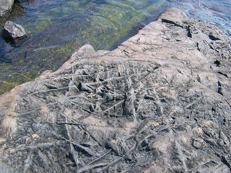 File:Shoreline rocks near Jones Landing 1.JPG