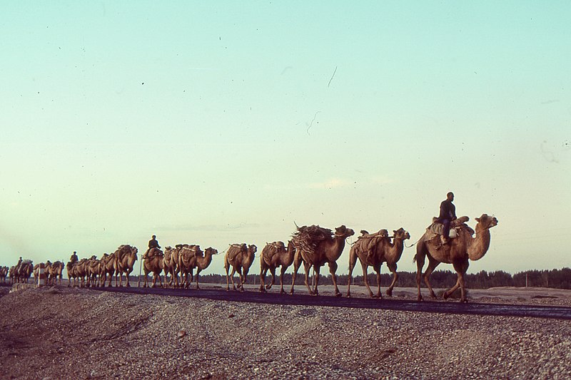 File:Silk Road 1992.jpg