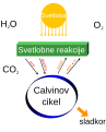 slovenščina