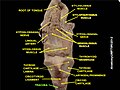 17:36, 22 மே 2012 இலிருந்த பதிப்புக்கான சிறு தோற்றம்