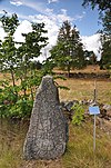Smålands runinskrifter 89 runsten Alseda 18 1.jpg