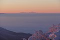 * Nomination View of Vysoké Tatry from Sninský kameň at sunset, distance ca 140-160 km --Milan Bališin 20:49, 31 January 2019 (UTC) * Promotion Good quality. --Moroder 22:23, 31 January 2019 (UTC)