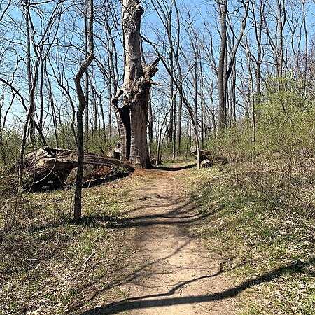 Southwest Way Park