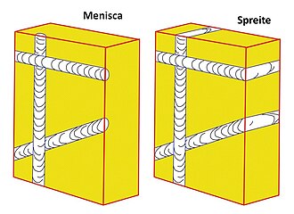 Diagram showing the differences between meniscate and spreiten burrows. Modified from Chamberlain (1978). Spreite.jpg