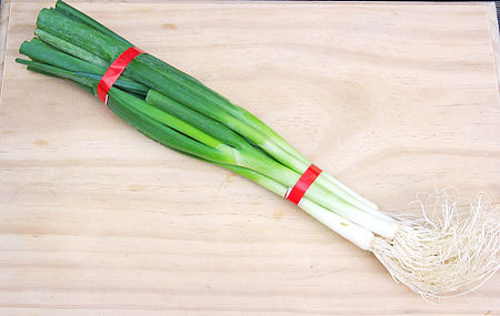 Spring Onion.jpg