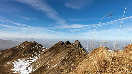 Standkopf (Sagtalerspitze) im Sommer.