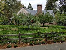 Jobs's house with abundant fruit trees in Palo Alto SteveJobs house in PaloAlto with fruit trees.jpg