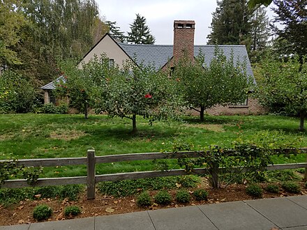 Jobs's house, as viewed from an adjacent sidewalk. Abundant fruit trees are visible next to the house.