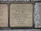 Stolperstein Hanni Baumgarten, 1, Große Straße 56, Verden, Landkreis Verden.jpg