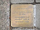 Stolperstein Salo Wasssteil, 1, Pallaswiesenstrasse 43, Darmstadt.jpg