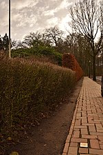 Vorschaubild für Liste der Stolpersteine in Syddanmark