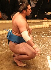 Tochinoshin during the May 2009 tournament. Sumo May09 Tochinoshin.jpg