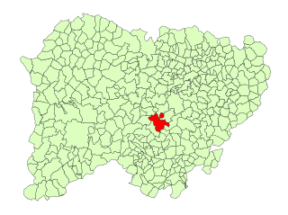<span class="mw-page-title-main">Narros de Matalayegua</span> Municipality in Castile and León, Spain