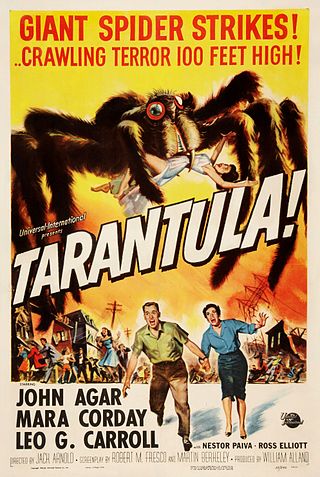 <i>Tarantula!</i> 1955 US science-fiction monster film by Jack Arnold