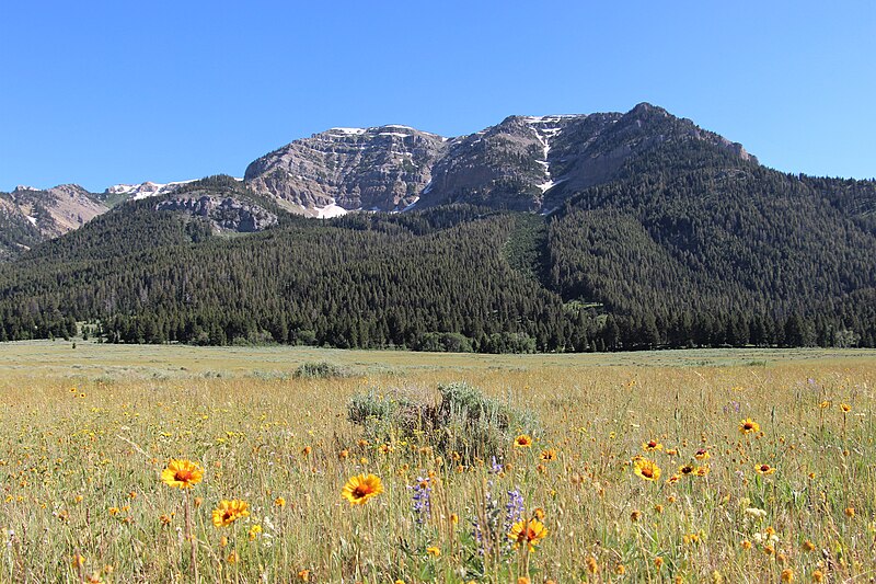 File:Taylor Mountain, Idaho-Montana.jpg