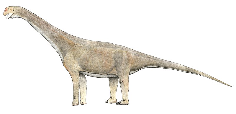 File:Tehuelchesaurus benetezii.jpg