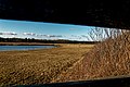 Texel - De Koog - De Dennen - Nature Path 'Alloo' - View through Observation Fence 02.jpg