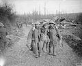 The Battle of the Somme, July-november 1916 Q4538.jpg