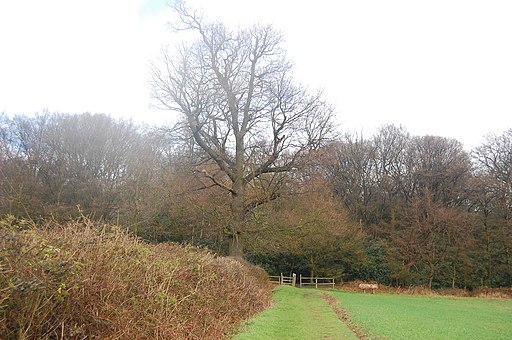 The Essex Way 5 - geograph.org.uk - 1774510