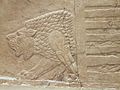 ライオンのレリーフ、アッシリア、ニネヴェの王宮、紀元前645 - 635年頃