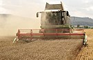 The combine Claas Lexion 584 in the wheat harvest.jpg