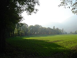 Foothills of the Jura