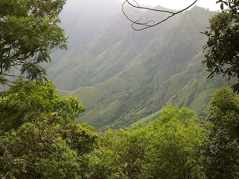 File:Top Station, Munnar - panoramio (2).jpg