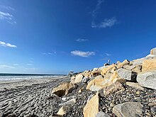 Torrey Pines State Beach, September 2021