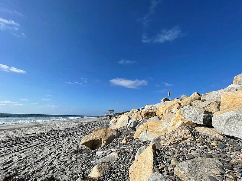 File:Torrey Pines State Beach Daytime.jpg