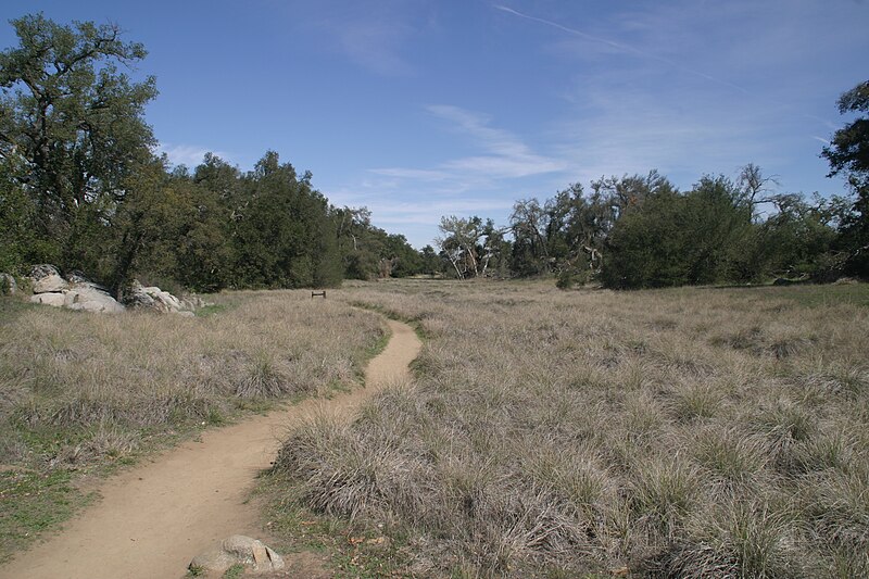 File:Trail through Oak Savanna (25150226969).jpg