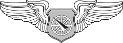 Air Battle Manager Badge