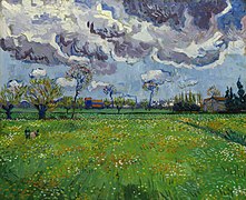 Meadow with flowers under a stormy sky