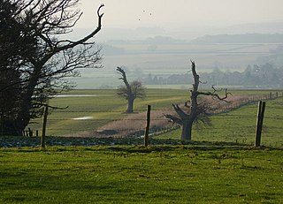 <span class="mw-page-title-main">Grove Hall</span> English country house