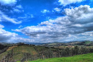Pogled na vinograde Chiantia