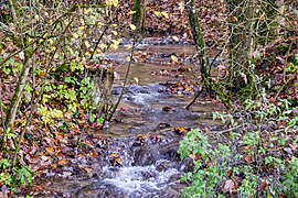 Der Zufluss zum Wasserfall