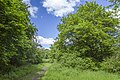 * Предлог Path between the Main oxbox lakes and the "Sennfelder See" lake near Sennfeld --Plozessor 03:58, 1 June 2024 (UTC) * Поддршка  Support Good quality, but narrowly cut above the tree on the right.--Agnes Monkelbaan 04:10, 1 June 2024 (UTC)