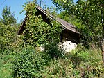 Vineyard in Sittersdorf