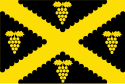 Vlag van Wijnegem